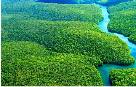 Top 10 largest rainforests in the world