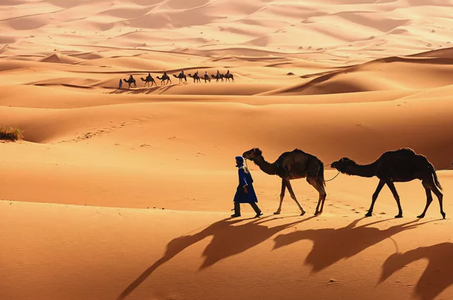 Top 10 Largest Deserts In The World the Sahara