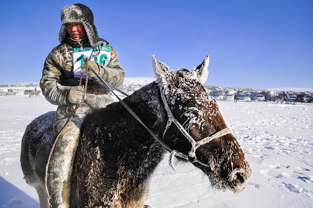 Top 10 Most Coldest Countries In The World Mongolia