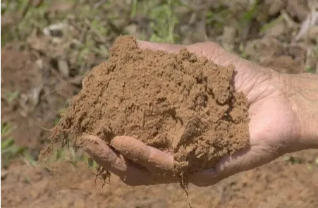 6 Basic Soil Types You Need To Identify In Agriculture Silt soil