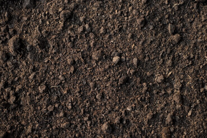 6 Basic Soil Types You Need To Identify In Agriculture loam soil