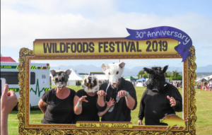 10 Popular Festivals In New Zealand That’ll Leave You All Electrified Hokitika Wildfoods Festival